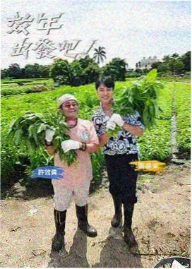学习路径第四期更新公告配图